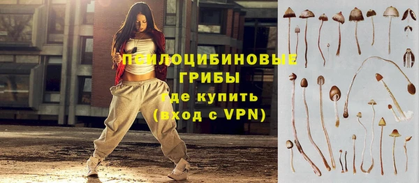 амф Арсеньев