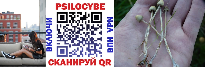 Псилоцибиновые грибы прущие грибы  Купить закладки  Лысьва 